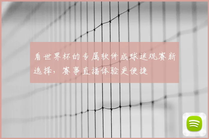 看世界杯的专属软件成球迷观赛新选择，赛事直播体验更便捷