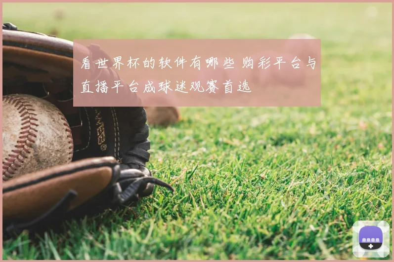 看世界杯的软件有哪些 购彩平台与直播平台成球迷观赛首选