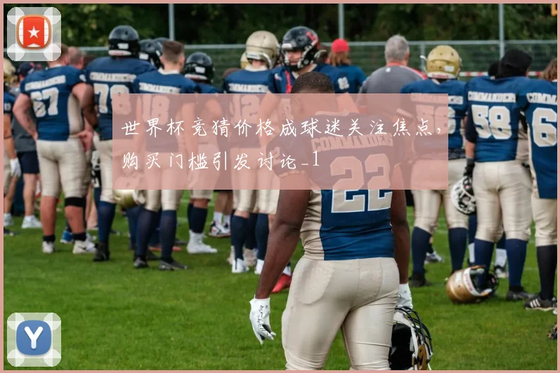 世界杯竞猜价格成球迷关注焦点,购买门槛引发讨论_1