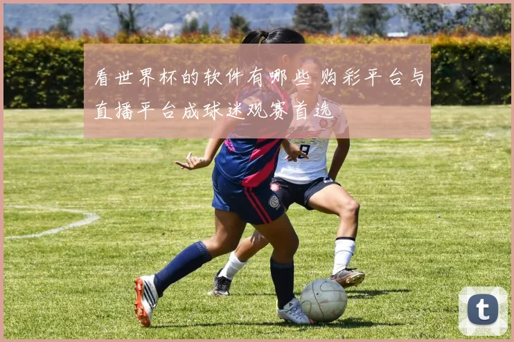 看世界杯的软件有哪些 购彩平台与直播平台成球迷观赛首选