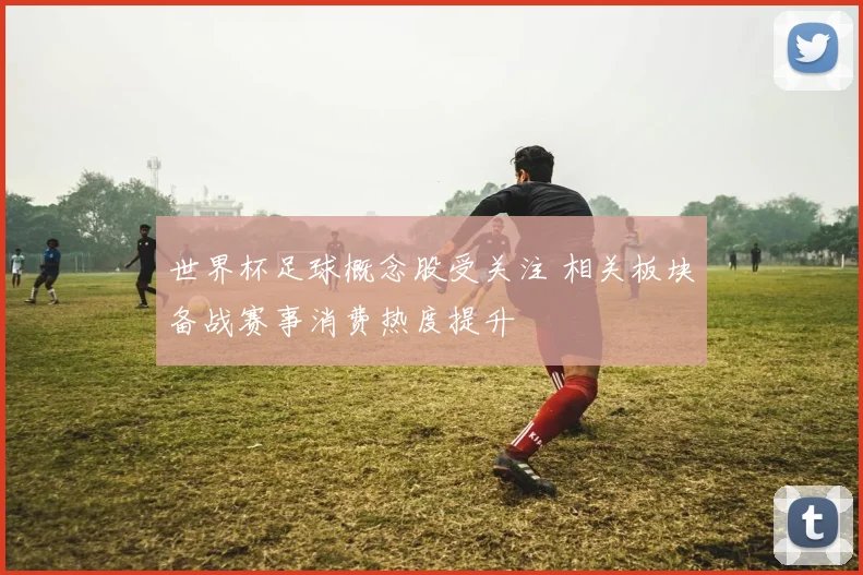 世界杯足球概念股受关注 相关板块备战赛事消费热度提升