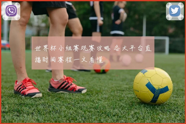 世界杯小组赛观赛攻略 各大平台直播时间赛程一文看懂