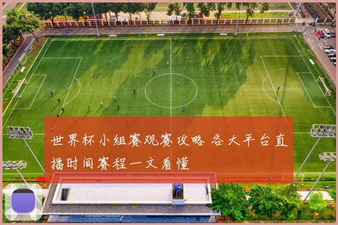 世界杯小组赛观赛攻略 各大平台直播时间赛程一文看懂