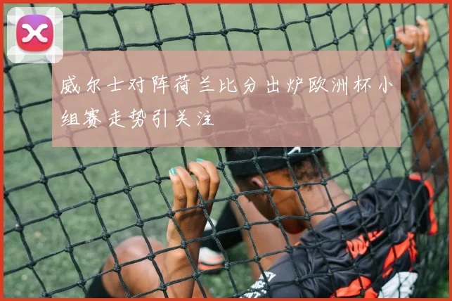 威尔士对阵荷兰比分出炉欧洲杯小组赛走势引关注