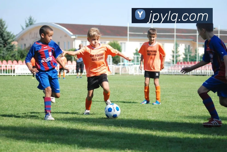 世界杯在线观看官网服务体系