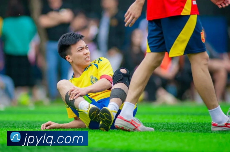 多媒体互动体验